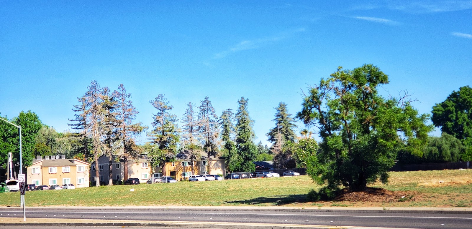 Turlock