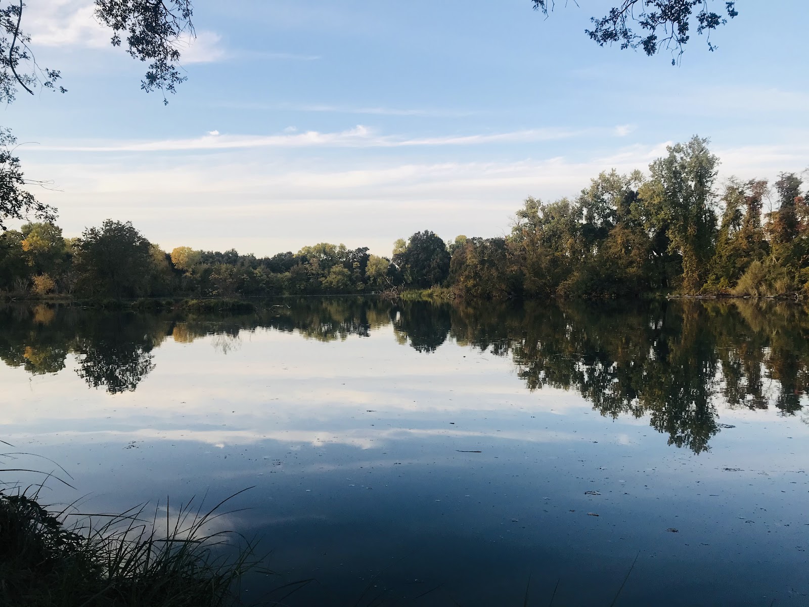 Lodi Lake Nature Area Tour